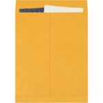 Paper Envelopes - 20 x 16"