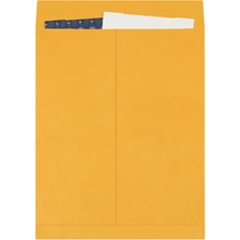 Paper Envelopes - 20 x 16"