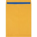 Paper Envelopes - 22 x 17"