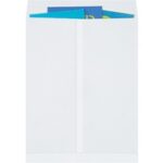 Paper Envelopes - 22 x 17"