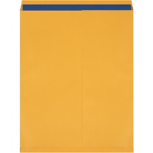 Paper Envelopes - 30 x 24"