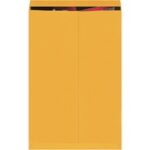 Paper Envelopes - 36 x 24"