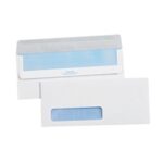 Paper Envelopes - 9.5 x 4.125"