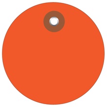 Plastic Tags - 2 x 2"