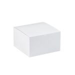 Gift Boxes - 10 x 10 x 6"