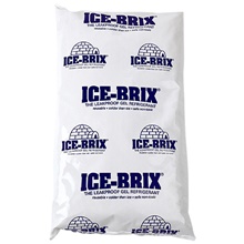 Insulated Shipping Containers & Supplies - 6 x 1.25 x 8"