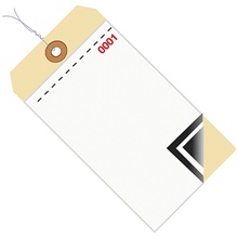 Inventory Tags - 6.25 x 3.125"