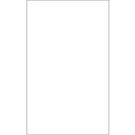 Laser Labels - 8.5"