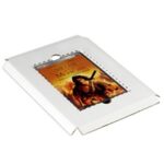 DVD Literature Mailers - 10.3125 x 12.6875"