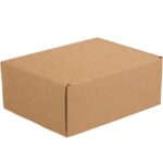 Literature Mailers - 11.125 x 8.75 x 4"