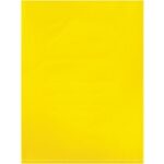 Flat Poly Bags - 12 x 9"