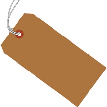 Colored Tags - 2.375 x 4.75"