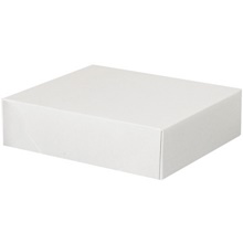 Stationary Folding Cartons - 9.5 x 3 x 11.125"