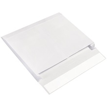 Ship-Lite® Envelopes - 15 x 10 x 2"