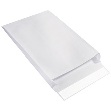 Ship-Lite® Envelopes - 16 x 12 x 2"