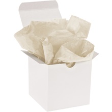 Tissue Paper - 30 x 20"