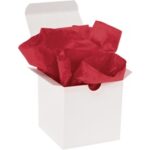 Tissue Paper - 30 x 20"