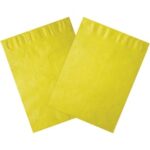 Tyvek® Envelopes - 13 x 10"