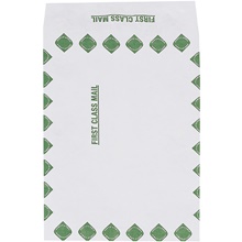 Tyvek® Envelopes - 10 x 1.5 x 13"