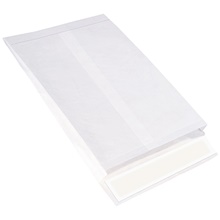 Tyvek® Envelopes - 13 x 10 x 1.5"