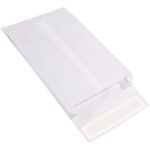 Tyvek® Envelopes - 13 x 10 x 2"