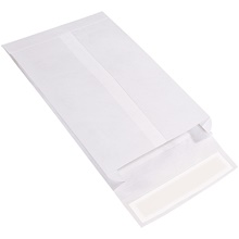 Tyvek® Envelopes - 13 x 10 x 2"