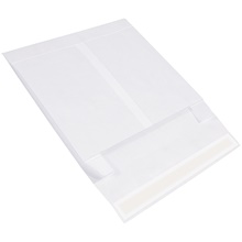 Tyvek® Envelopes - 16 x 12 x 4"