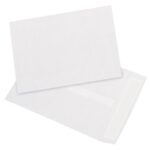 Tyvek® Envelopes - 10.5 x 7.5"