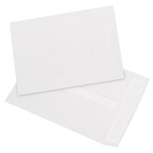 Tyvek® Envelopes - 10.5 x 7.5"