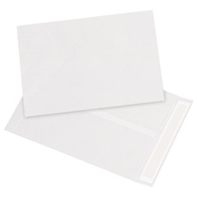 Tyvek® Envelopes - 12.5 x 9.5"