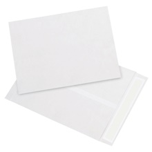 Tyvek® Envelopes - 12 x 9"