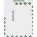 Tyvek® Envelopes - 13 x 10"