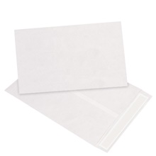 Tyvek® Envelopes - 13 x 10"