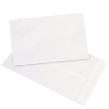 Tyvek® Envelopes - 15 x 10"