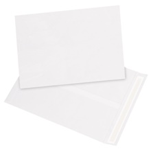 Tyvek® Envelopes - 15.5 x 12"