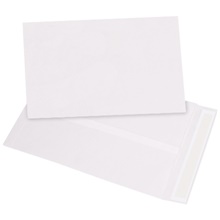 Tyvek® Envelopes - 19 x 13"
