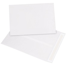 Tyvek® Envelopes - 20 x 15"