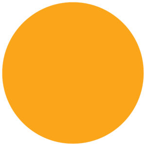 Inventory Labels - 3" Circles - Fluorescent Orange Removable Labels