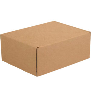 Literature Mailers - 11 1/8 x 8 3/4 x 5" Kraft Deluxe Literature Mailer